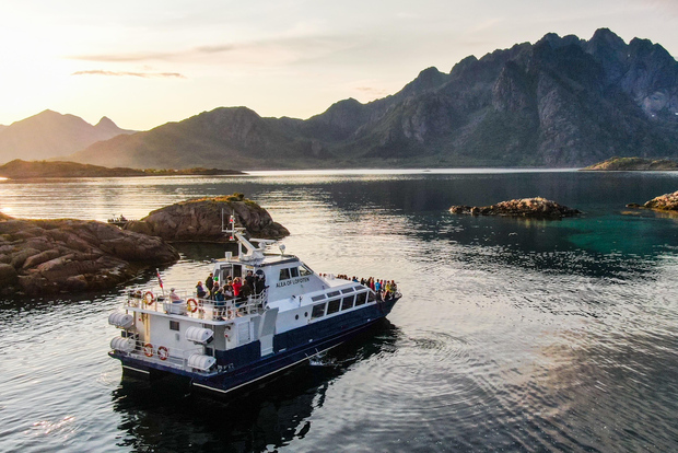 Från Svolvær: Lofoten Trollfjord Cruise & Sea Eagle Safari