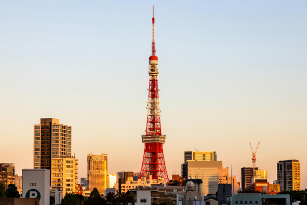 Tokyo: tour guidato del Palazzo Imperiale, della Torre e della Stazione