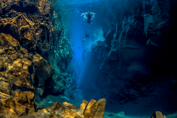 Reykjavík: Snorkeling della faglia di Silfra tra due continenti