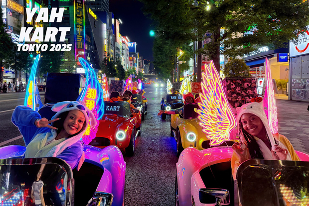 东京：秋叶原/浅草卡丁车之旅（含导游）