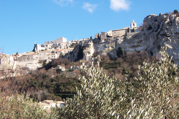 Avignon: Pont du Gard, Saint Remy och Les Baux Halvdagsutflykt