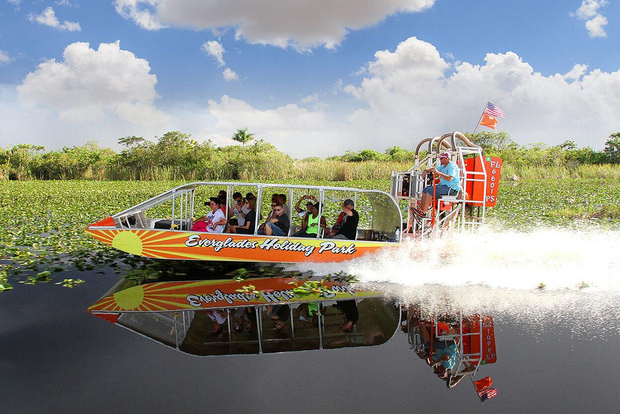 Da Miami: Airboat delle Everglades, spettacolo della fauna selvatica e trasferimento in autobus