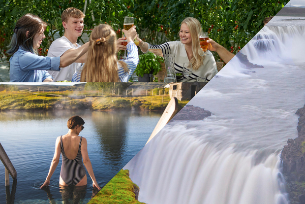 Reykjavík: Circolo d'Oro, Laguna Segreta e Fridheimar