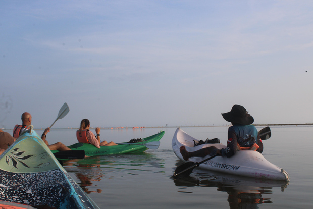 Holbox : excursion guidée en kayak au lever ou au coucher du soleil dans la réserve de mangroves