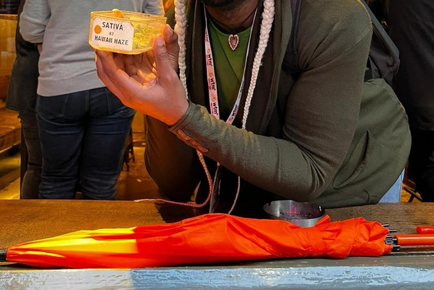 Amsterdam: tour guidato a piedi alla scoperta dei coffee shop