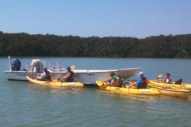 Parque Nacional Everglades: Eco-Tour Barco, Caiaque e a Pé