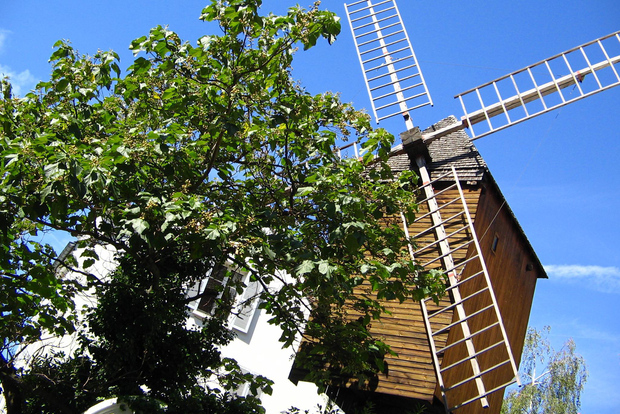 巴黎：蒙马特私人导游步行游