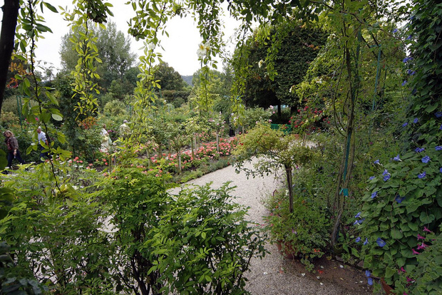 Da Parigi: Escursione di un giorno a Giverny e alla Casa di Monet