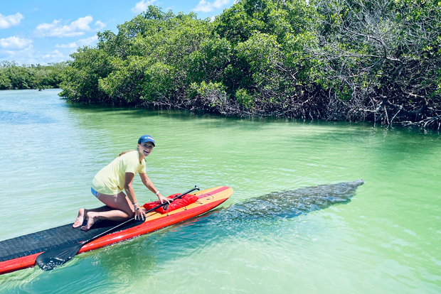 Fort Myers: Excursión guiada en Standup Paddleboard o Kayak
