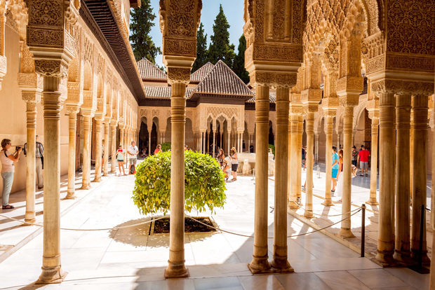 Tour guidato con ingresso prioritario all'Alhambra e ai Palazzi Nasridi