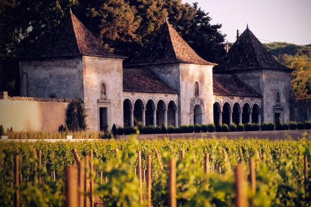 Da Lisbona: Serra da Arrábida, Sesimbra e Vini di Setúbal