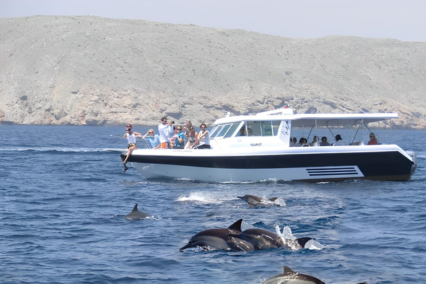 Mascate: gita in barca per avvistare i delfini