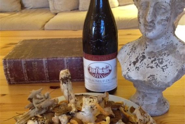 Provence: Mushroom Hunting with Outdoor Breakfast