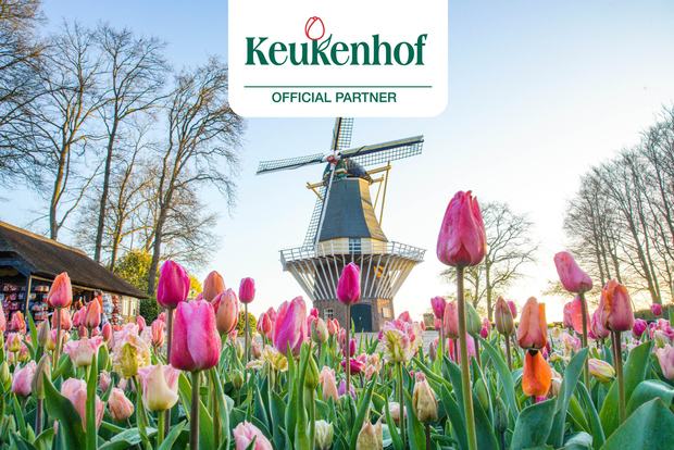 Amsterdam: Eintritt zum Keukenhof & Shuttlebus mit flexibler Rückfahrt
