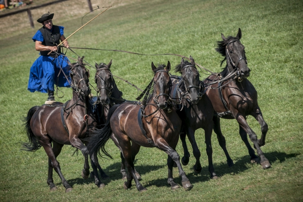 Von Budapest aus: Puszta-Pferdeturnier und Landpartie