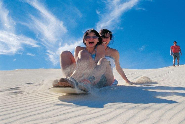 Excursión de un día a los Pináculos, Koalas y Sandboard desde Perth
