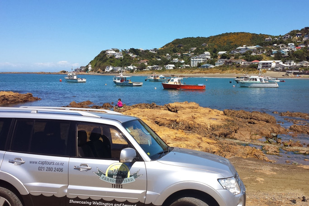 Wellington: Excursión privada de un día con almuerzo