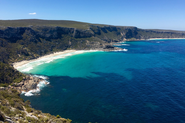 Kangaroo Island: Tour panoramico, naturalistico e faunistico