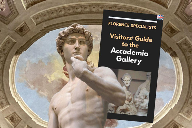Florence: Timed Entry Ticket to Michelangelo's David & eBook