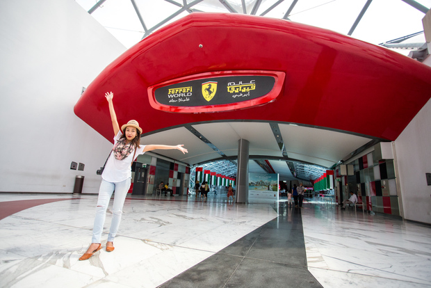 Da Dubai: Tour di un giorno ad Abu Dhabi con biglietto per il Ferrari World
