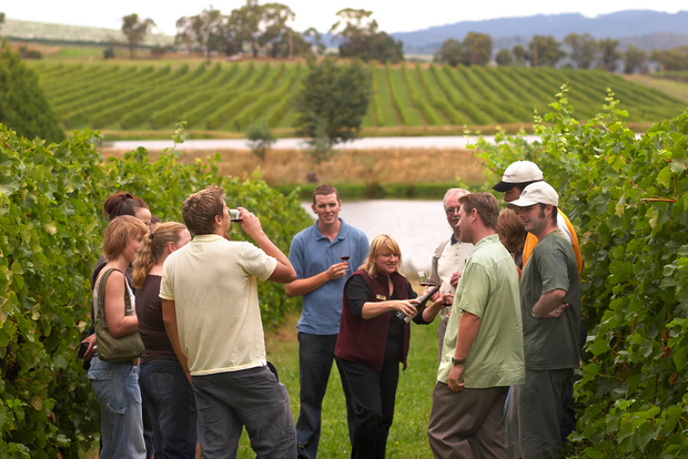 从圣塞瓦斯蒂安 / 毕尔巴鄂 / 维多利亚出发：里奥哈葡萄酒之旅（含午餐）