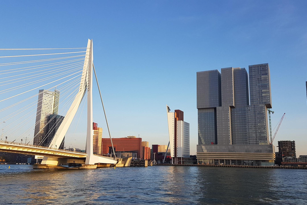 From Amsterdam: Rotterdam and Zaanse Schans Private Day Trip