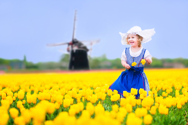La magica Delft e la tenuta di Keukenhof: Tulipani a volontà