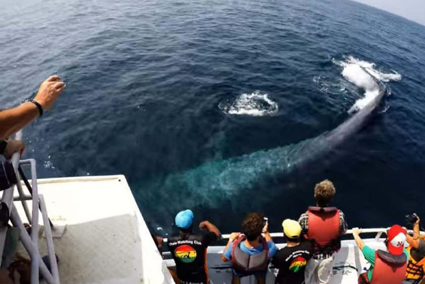 Bentota: 2-tägige private Tour Wild; Wonders And Galle Fort