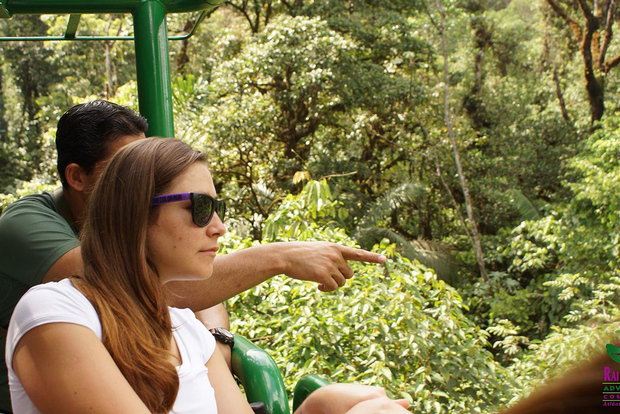 Från San Jose: Regnskog Atlantic Aerial Tram Tour