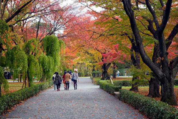Kyoto: Tour guidato a piedi del Palazzo Imperiale e del Castello Nijo