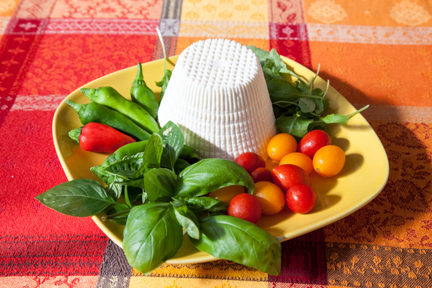 Bari: Private Cooking Class at a Local's Home