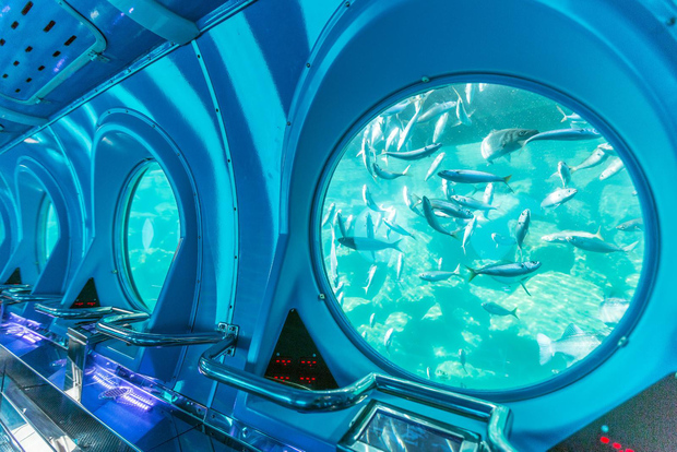 Пуэрто-де-Моган: тур на подводной лодке