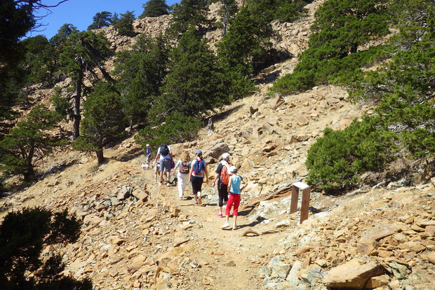 Excursión a pie por Troodos