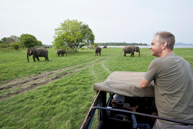 Safari pomeridiano del Parco Nazionale di Minneriya tutto incluso