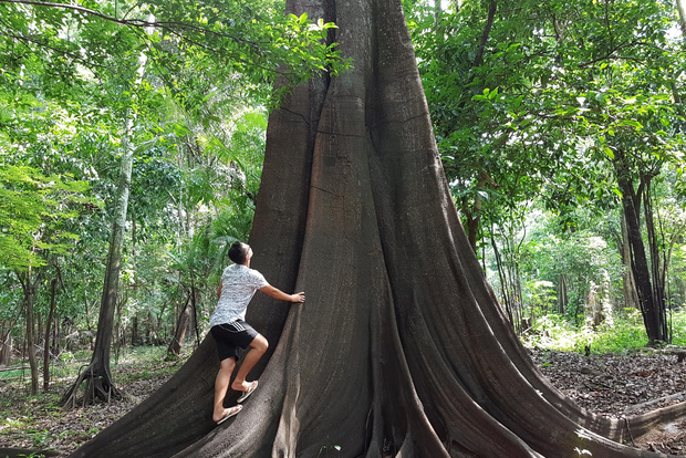 Selva amazónica: tour 3-4 días en Ipanema River Guest House