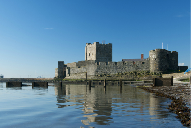 Porto di Belfast: Tour del Giant's Causeway e del Titanic