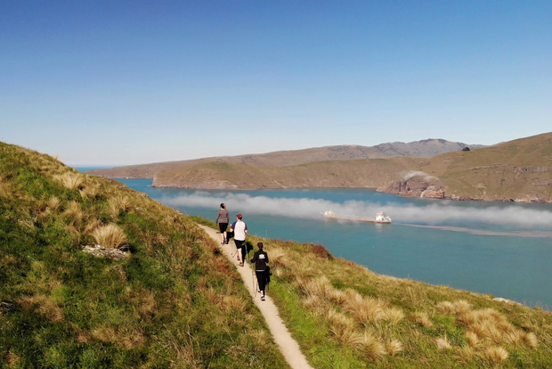 Christchurch: Guided Crater Rim Walk with Coastal Scenery