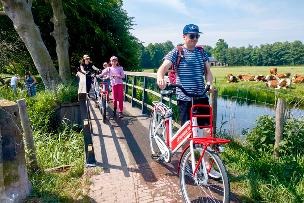 Tour in bicicletta dei punti salienti di Haarlem