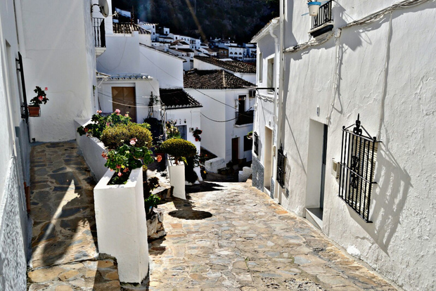 From Seville: White Villages and Ronda private day trip