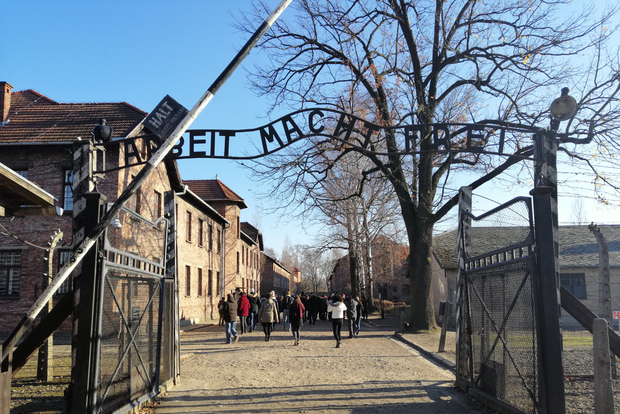 From Warsaw: Auschwitz-Birkenau Tour by Car