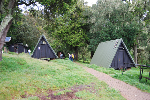Однодневная поездка на гору Килиманджаро Треккинг из Аруши или Моши