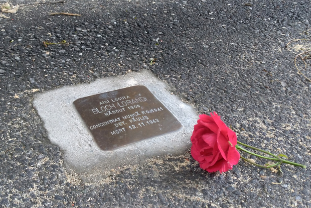 Timisoara: Tour a piedi del patrimonio ebraico