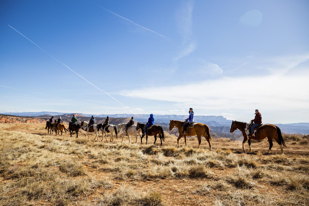 Bryce Canyon: Passeggiata a cavallo nella Dixie National Forest