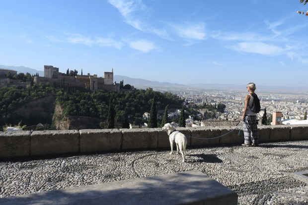 Granada: Visita guidata all'Albaicín con animali domestici