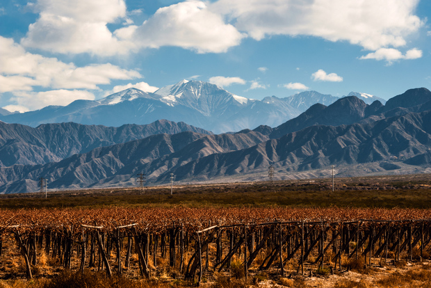 Mendoza : journée de visite des vignobles avec déjeuner à 3 services