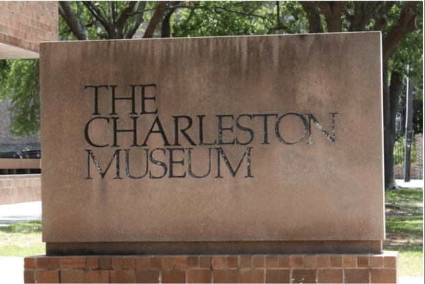 Charleston: City Tour with Charleston Museum Entry Combo