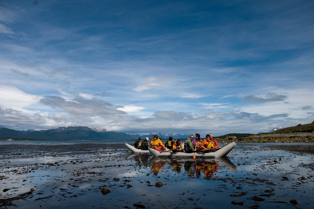 Ushuaia: Isola di Gable e colonia di pinguini con canoa