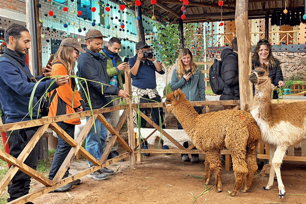 从库斯科出发：圣谷和马拉斯盐矿之旅（含午餐）