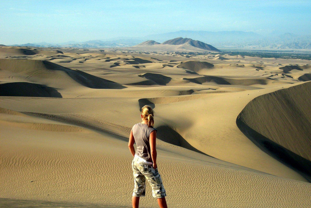 Tour de día completo: Isla Ballestas y Oasis de Huacachina desde Lima