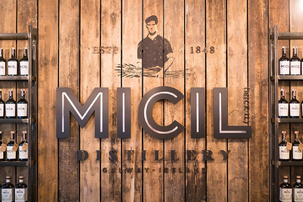 戈尔韦传统爱尔兰酒和杜松子酒酿造厂之旅